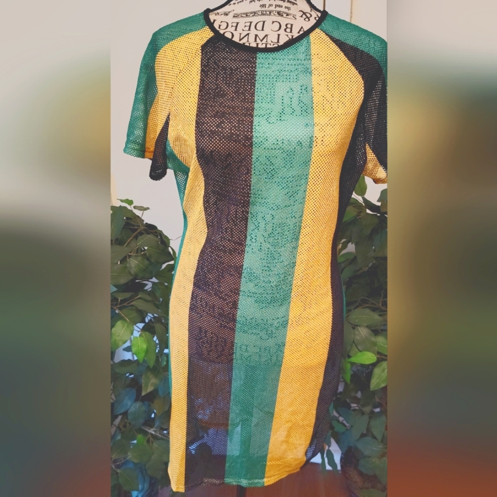 Colorful Striped Mesh Dress/Cover Up